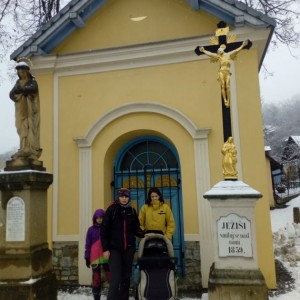 Liška II - průběžný stav